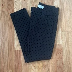 Loft Outlet black with velvet polka dots skinny ankle pants